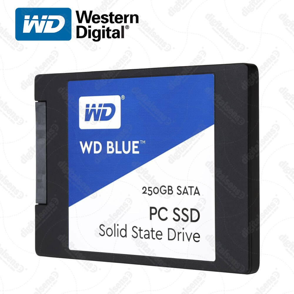 SSD-WDS250G1B0A-2.jpg
