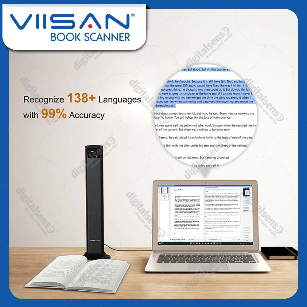 Viisan-DL24-2