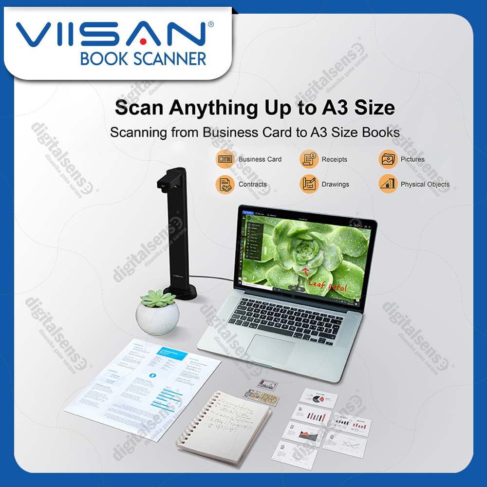 Viisan-DL24-4