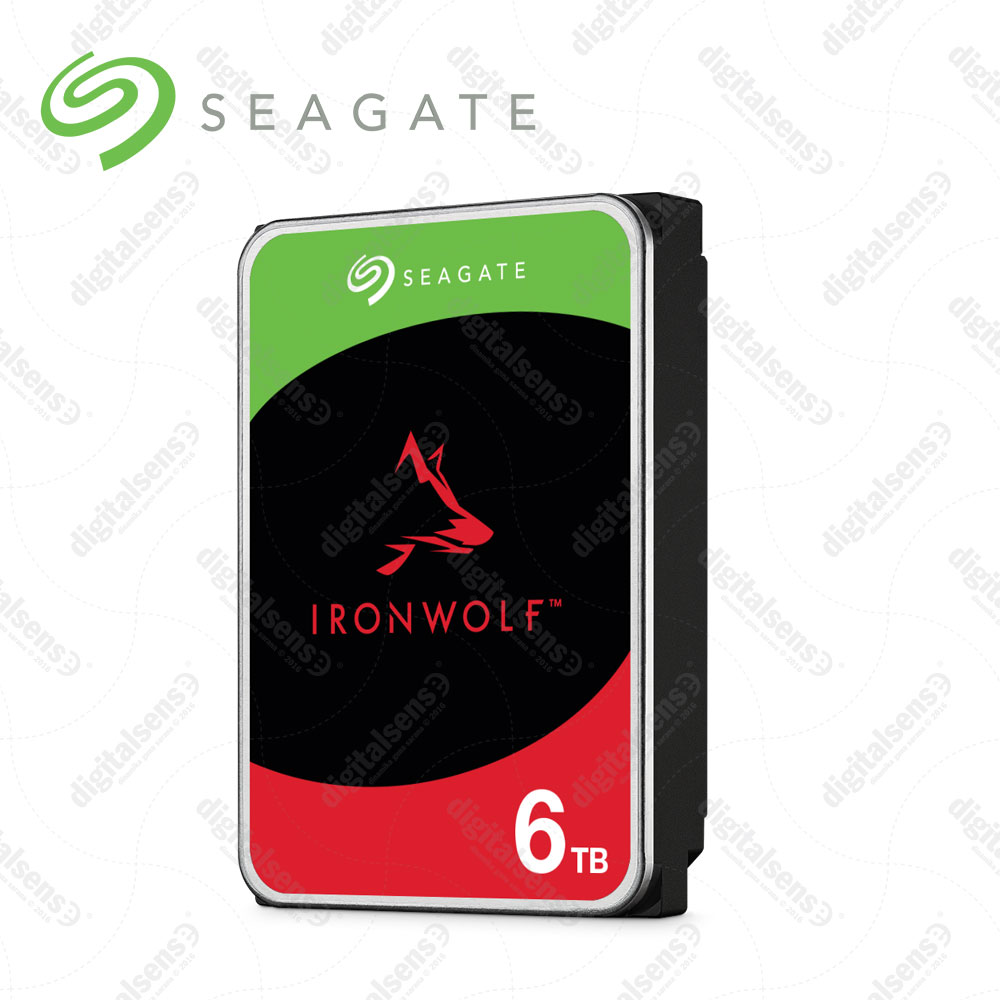 Seagate IRONWOLF + rescue 6 TB