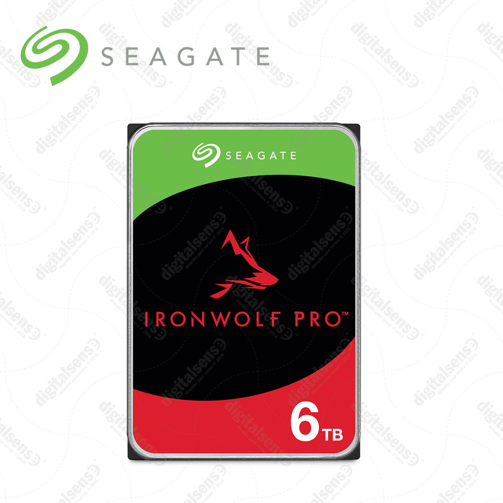 IronWolf-Pro-6TB